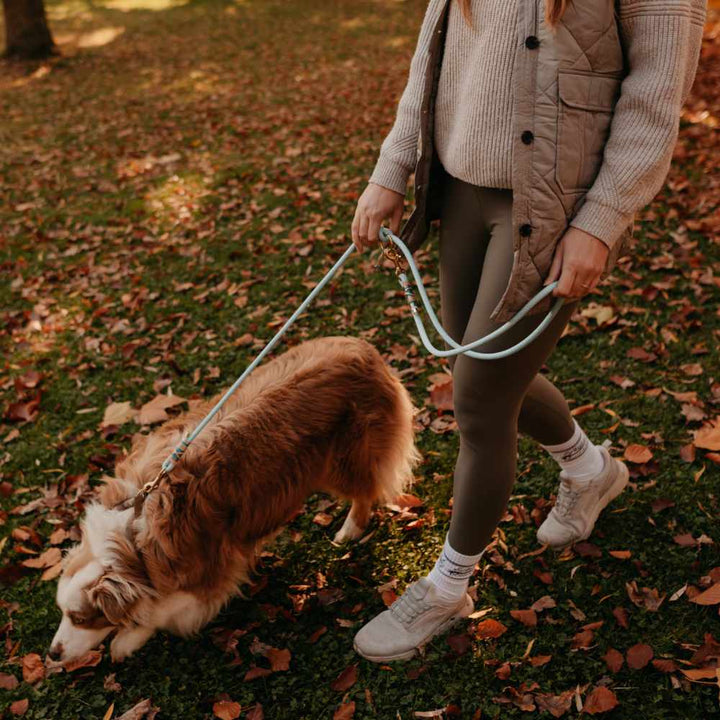 Dog leash Baby Blue
