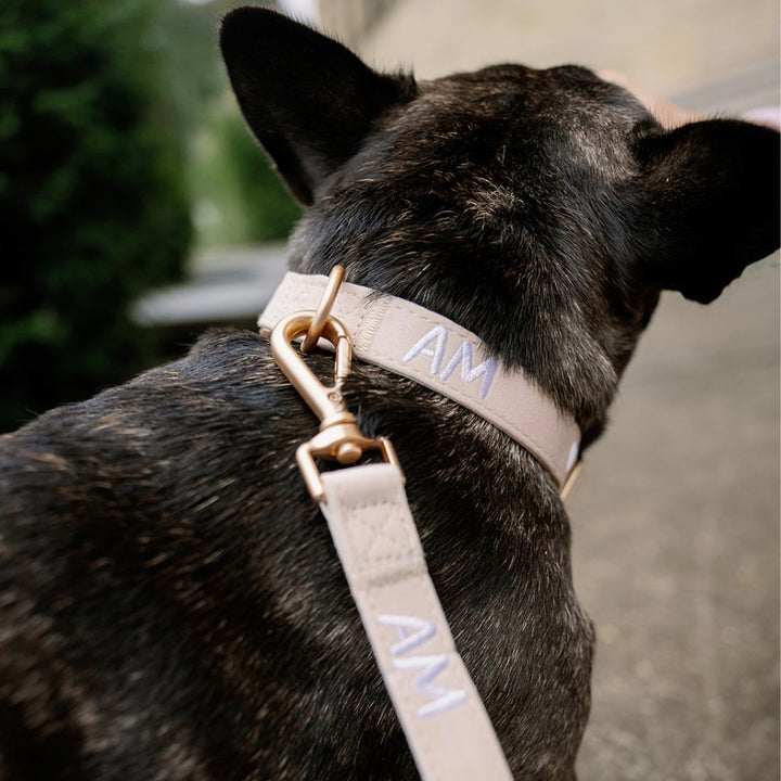 Adventure Halsband - Babyblau