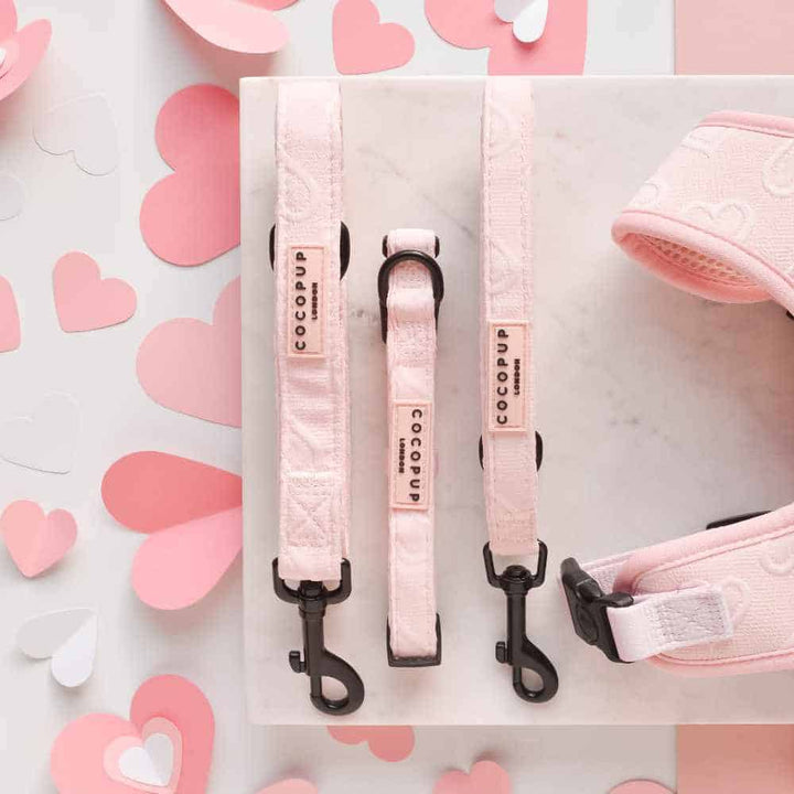Hundeleine Cocopup – Pink Heart