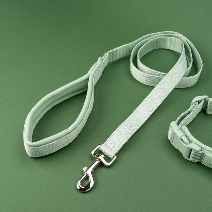 Adventure set Aussie Maison - Sage Green Navajo – Adventure vodítko - Sage green Navajo