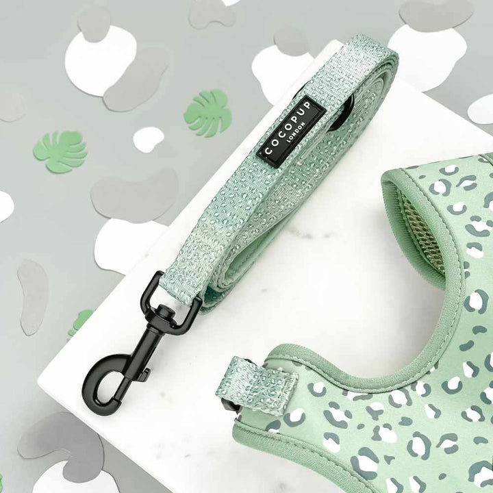 Cocopup Leash - Sage Leopard
