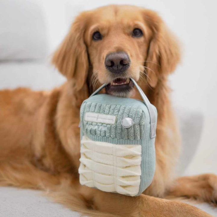 WOOF FM - čmuchací rádio