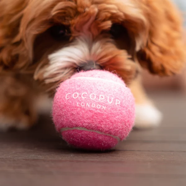 Tenisák Cocopup - Playful pink