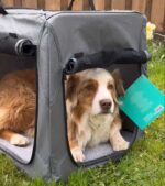 Cestovní přepravka pro psy